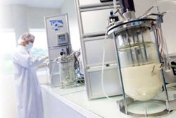 formulation-and-product-development